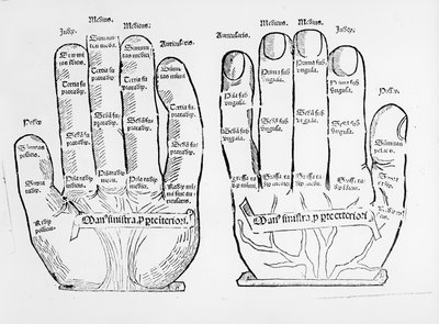 Palmistry by English School